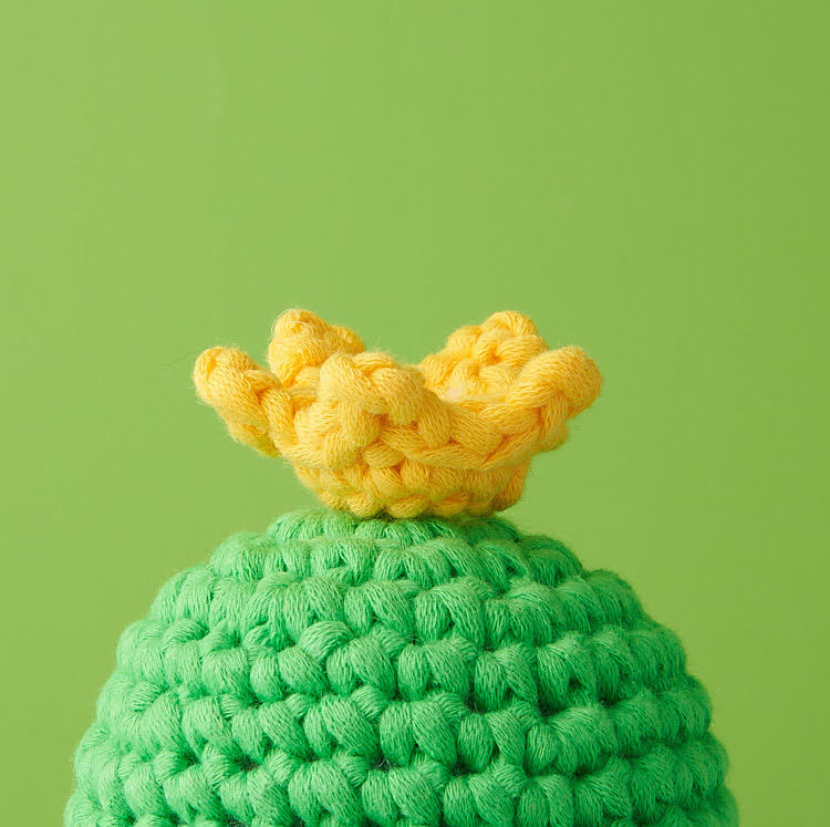 Tiny Crown Accessory Kit