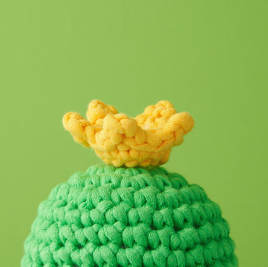 Tiny Crown Accessory Kit