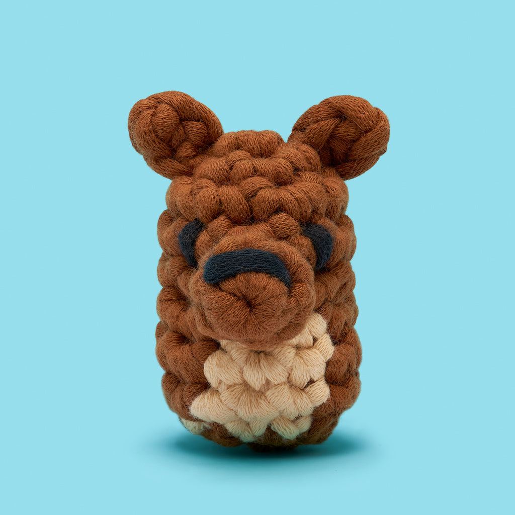 Hop-solute Hoppiness Bundle