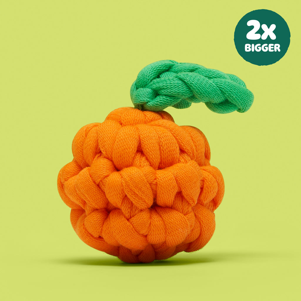 Don't Worry, Be Capy Bundle