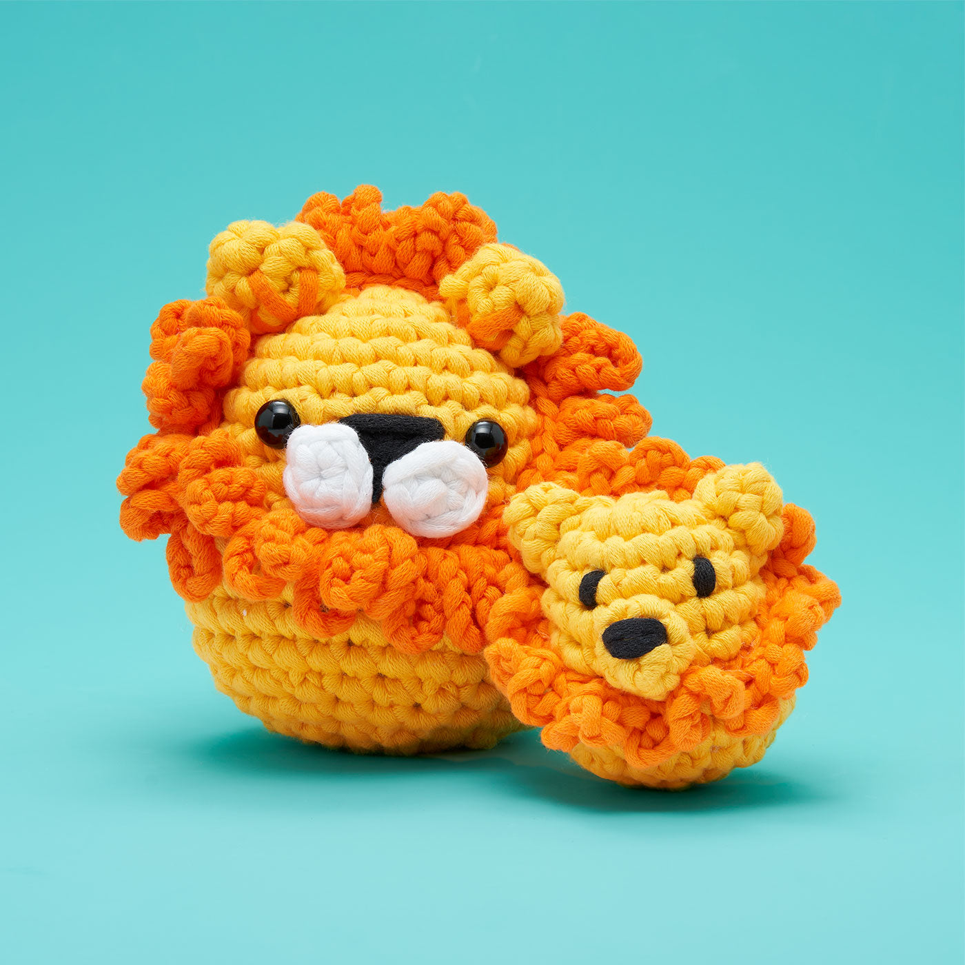 Lil' Lion Accessory Kit