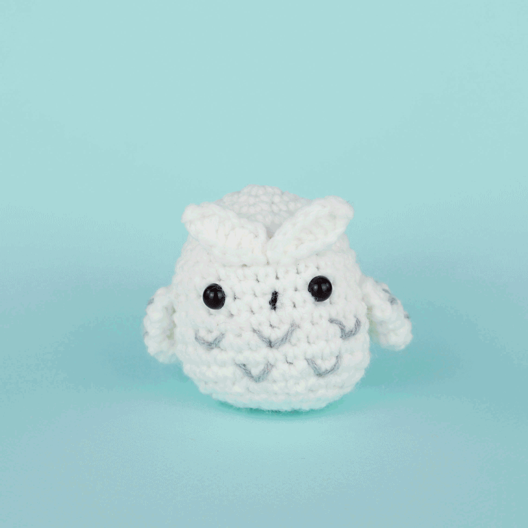 Andy the Owl Crochet Kit